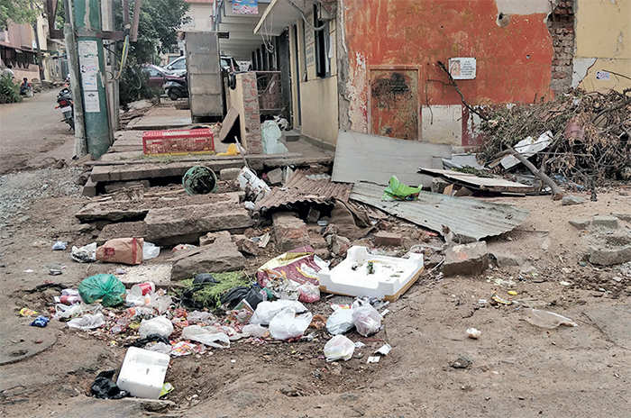 Mosquito menace continues unchecked in Vasanth Nagar