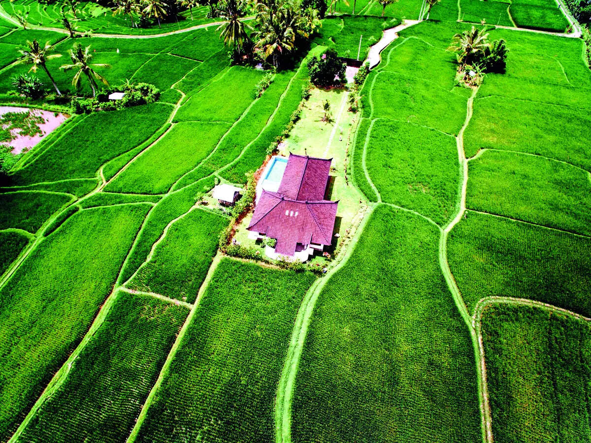 BM Property: Farmland projects attract new wave of urban investors