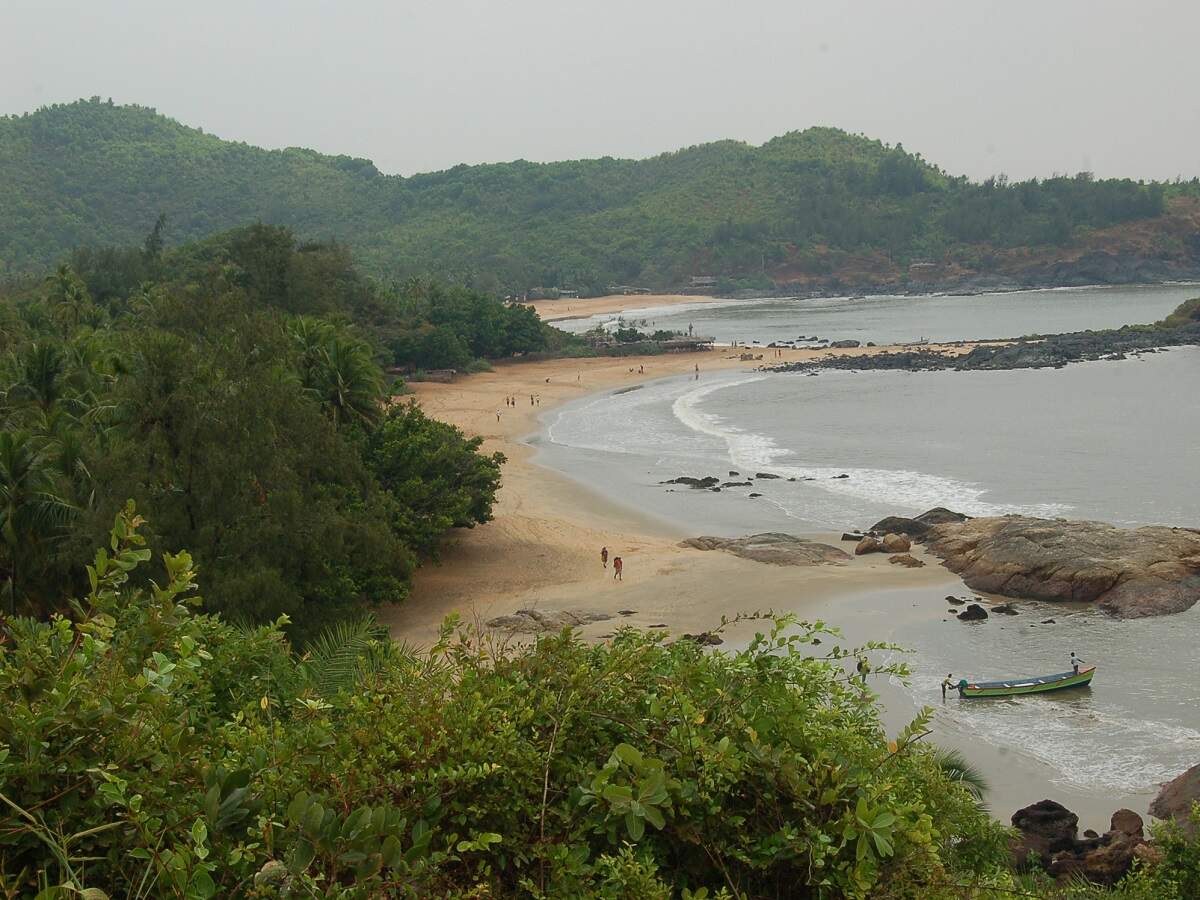 Goa needs to impose lockdown: Health Minister Vishwajit Rane