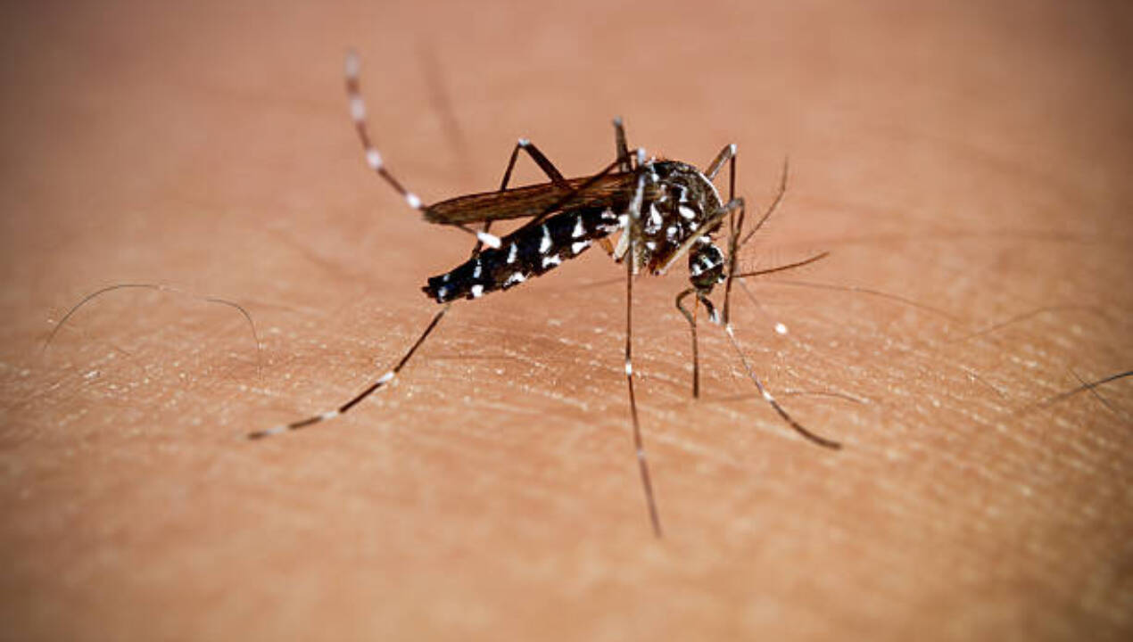 Mosquitoes can travel through areas that are hard for researchers to access directly, and they can potentially provide biological clues from places not easily reached by humans.