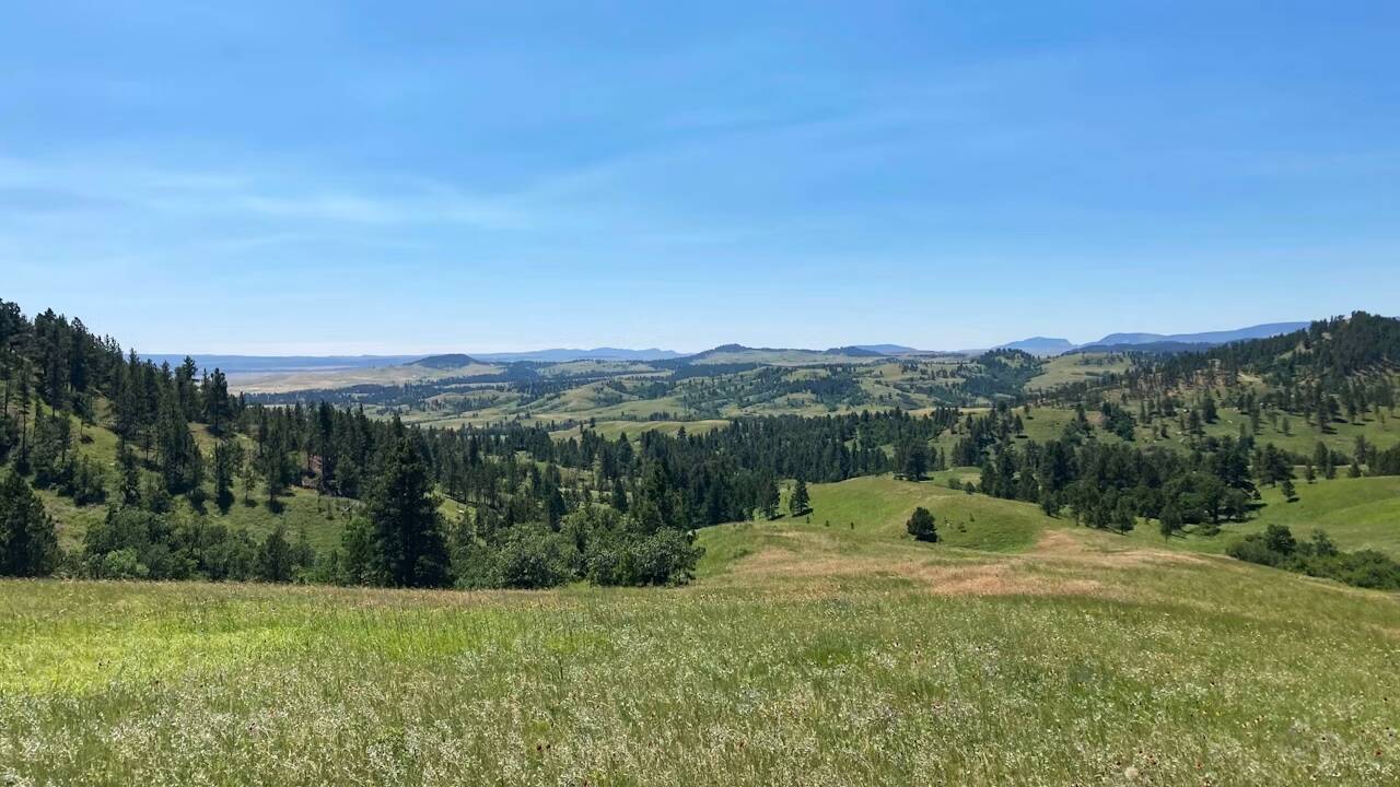 Wyoming Stock Growers Land Trust A dying mother’s wish protects 2,506 acres