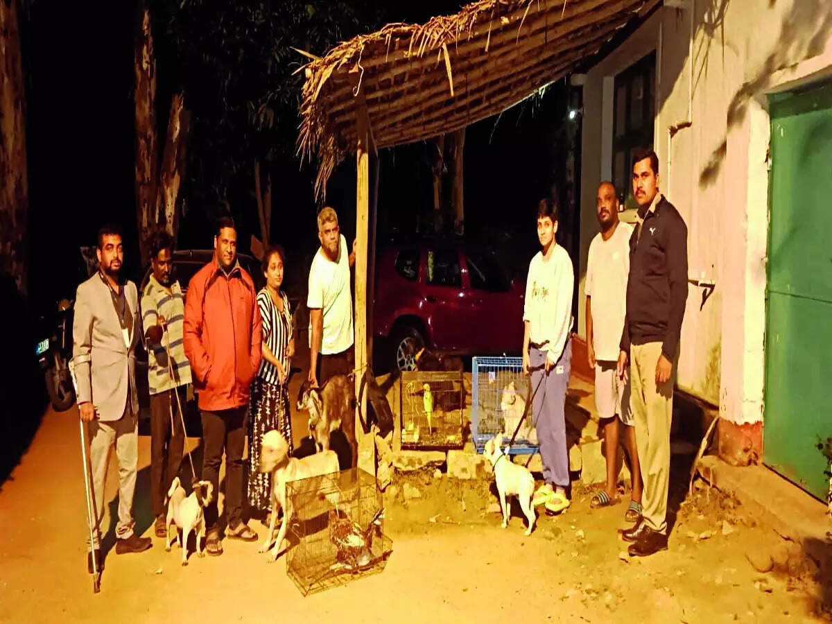 Breeding bad: Animals rescued from inhuman act