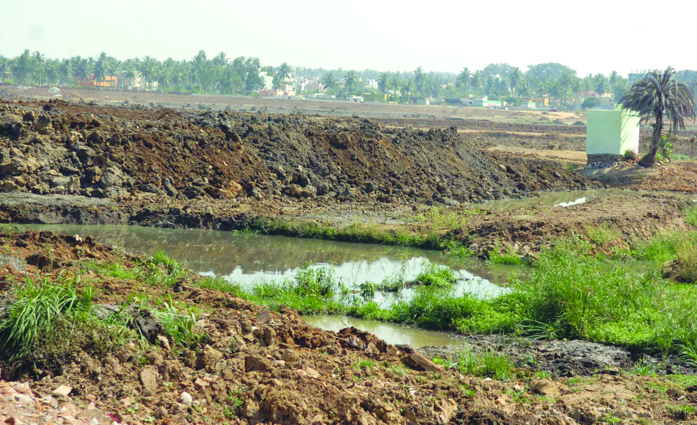 North Bengaluru Lakes at Risk: Urgent Action Needed to Combat Urban Pollution