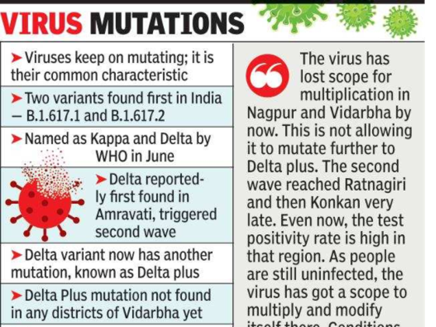 Delta Plus Variant News Vidarbha Where Delta Variant Originated Has No Case Of Delta Plus Yet Nagpur News Times Of India