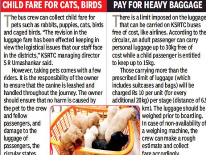 Now, pay and take your pets while travelling by KSRTC bus Bengaluru