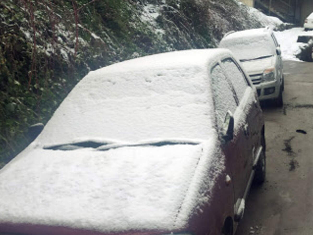 Photos: Fresh spell of snow in Shimla, Kufri; hundreds ...