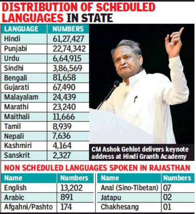 Second highest number of Hindi speakers in Rajasthan Jaipur News