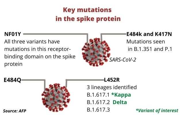 Kappa And Delta Variants Explained Why Who Named Covid 19 Variants First Found In India As Kappa And Delta India News Times Of India