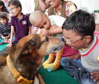 Cupa Large Animal Rescue Centre 2025