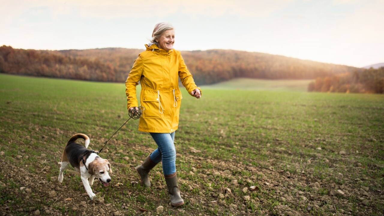 ​<strong>Farmer’s £15,000 bet on private dog parks now earns him £400 a week</strong>​