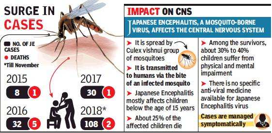 Pune With 108 Patients Japanese Encephalitis Spreads Beyond The Endemic Zone Pune News Times Of India