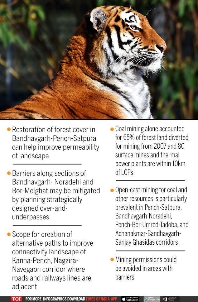 Study identifies 567 barriers in 30 tiger corridors in Central India ...