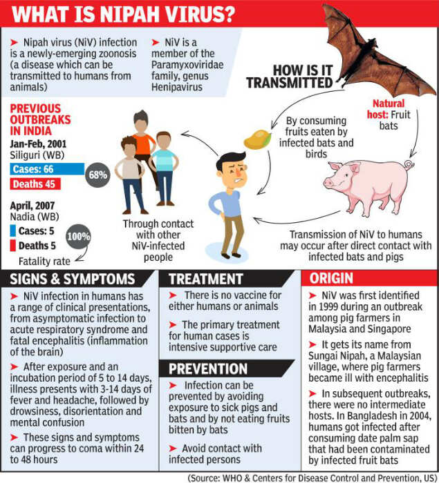 Nipah Virus In Kerala Steps Taken To Contain Nipah Virus Assures Kerala Govt Kochi News Times Of India