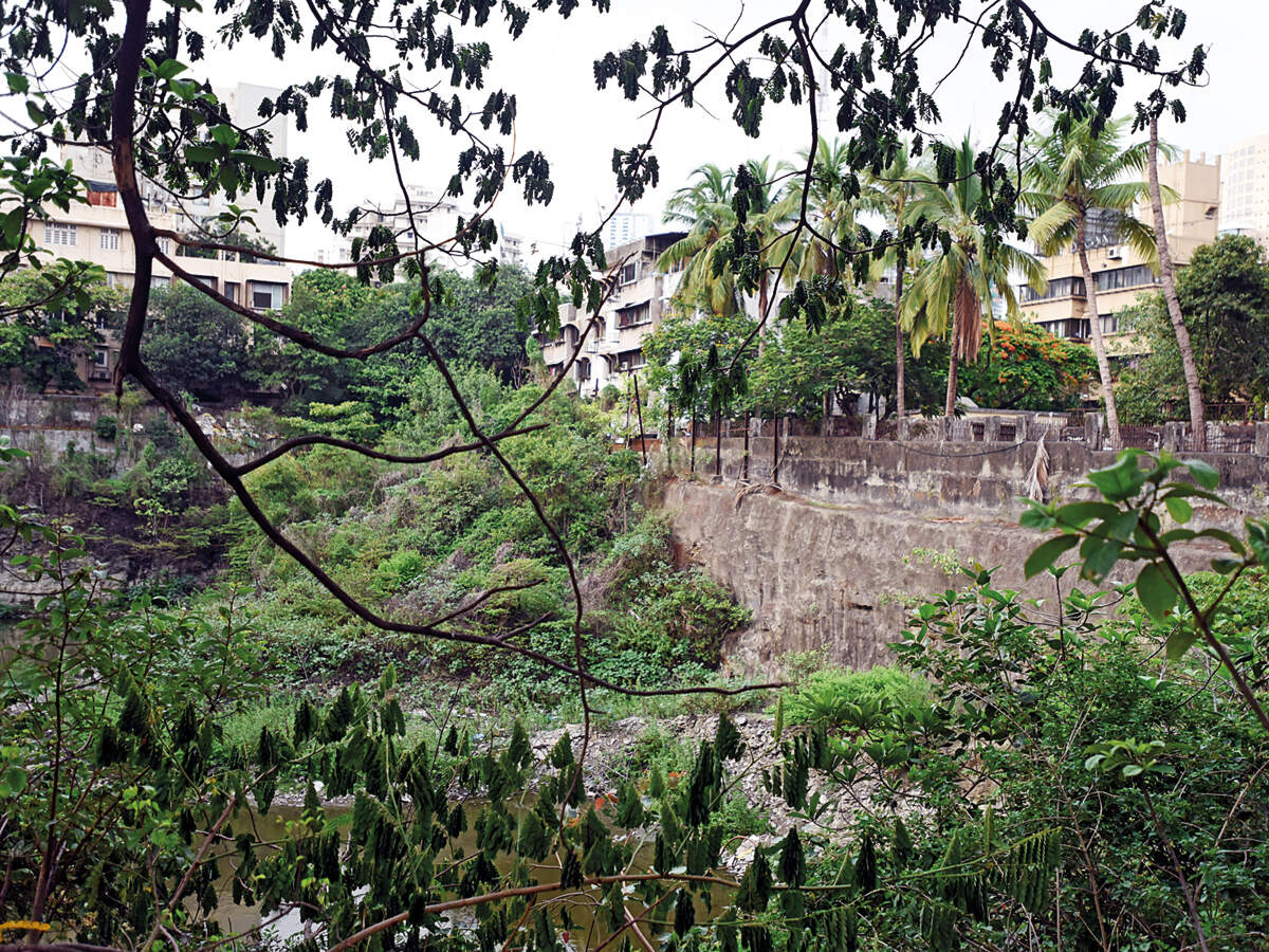 Where’s hospital in Worli? Collectorate asks trust