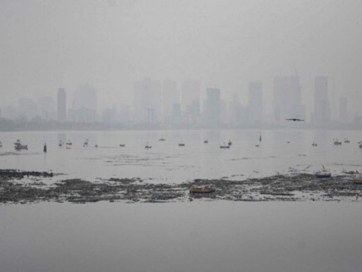 Mumbai weather forecast: Mumbai: Brace for chilly mornings from next week