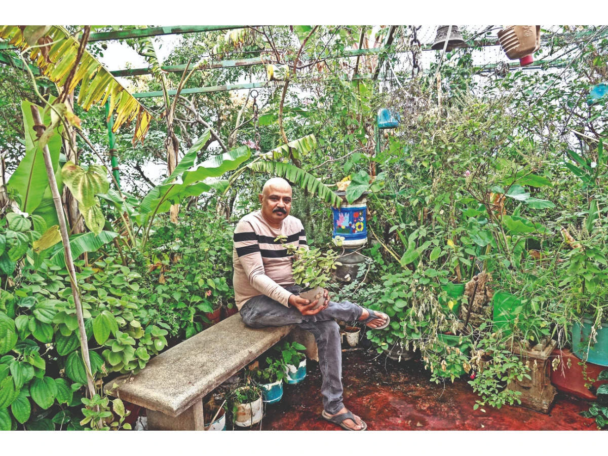 Transforming Waste into Sustainable Living: Bengaluru's Eco-Friendly ...