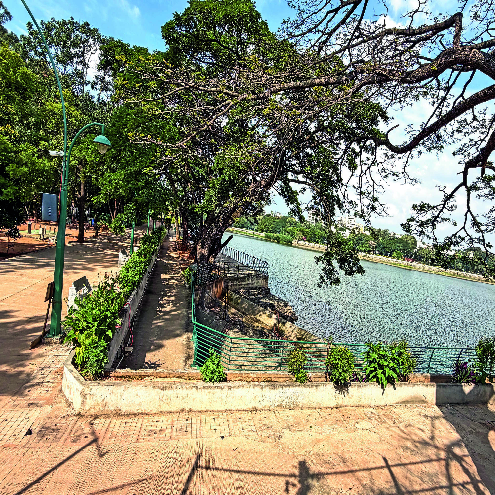 West Bengaluru Lakes Face Serious Environmental Challenges