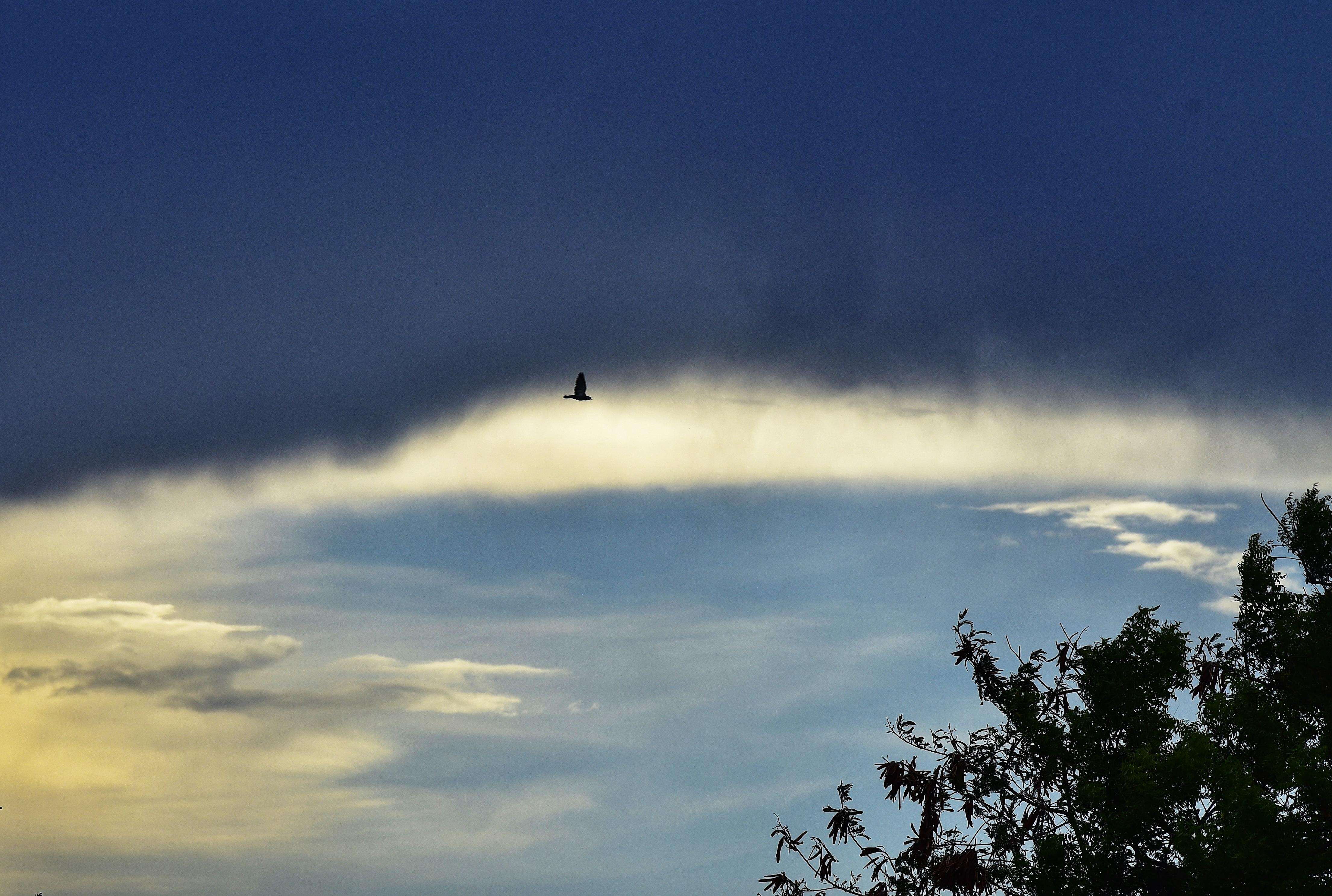 cloudy pune 1.jpg