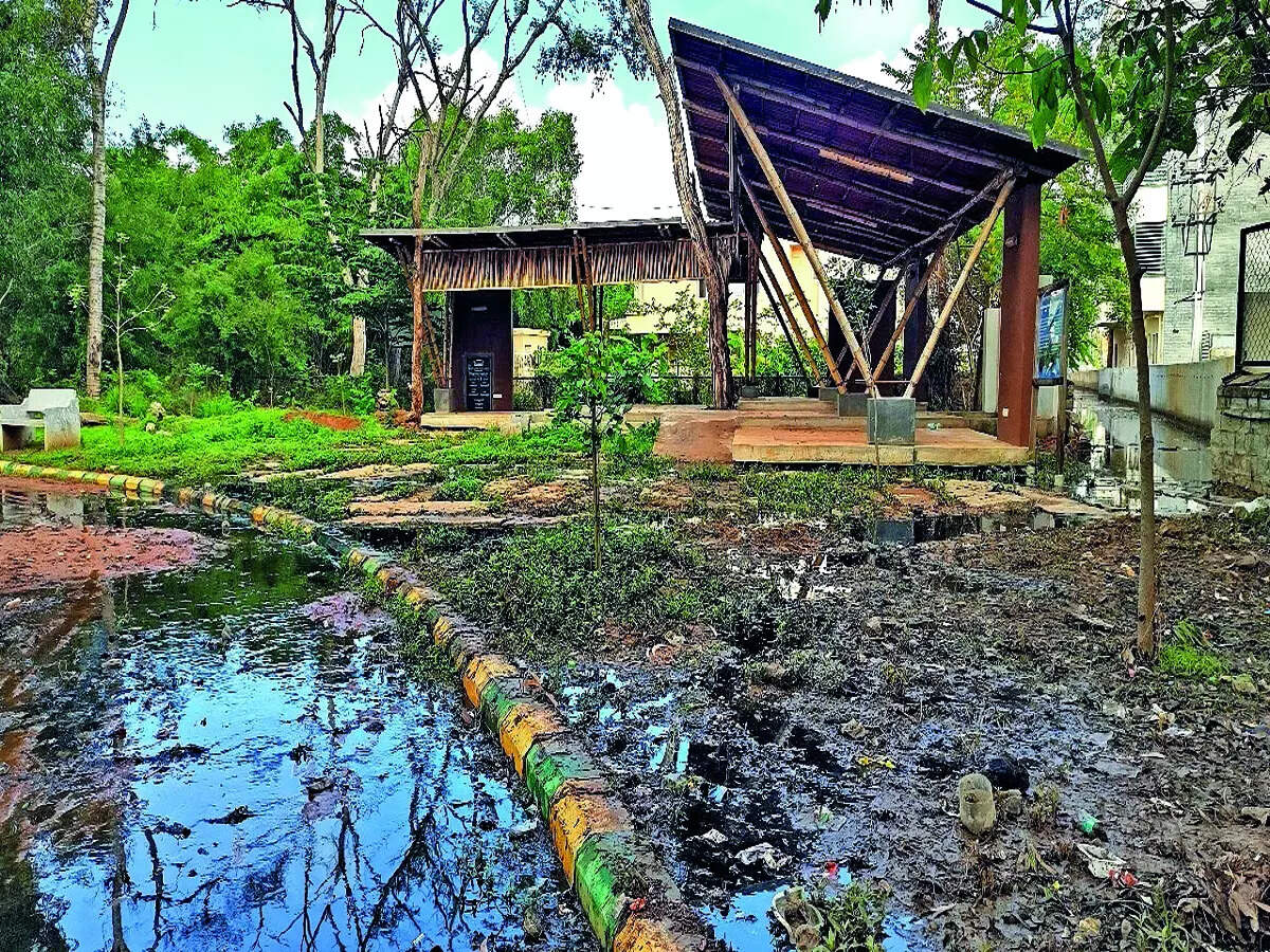 Puttenahalli Lake slips closer to ecological death