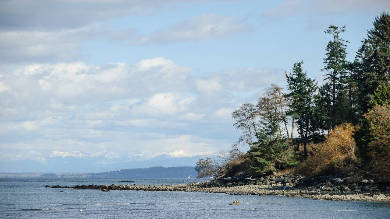 Day_82,_Orcas_Island_beach_-_Flickr_-_lorenkerns (1)