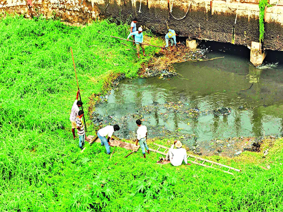 bellandur Rejuvenation of Bellandur, Varthur Lakes nowhere near completion