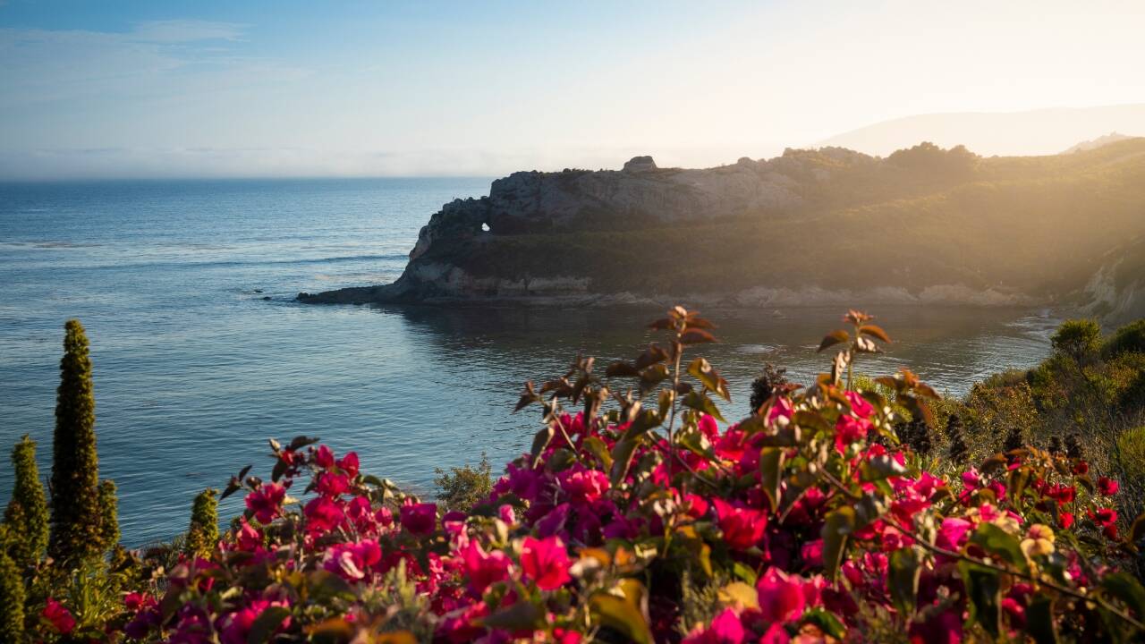 <strong>2,060 acres of California coastal land set for permanent protection after 25-year effort</strong>