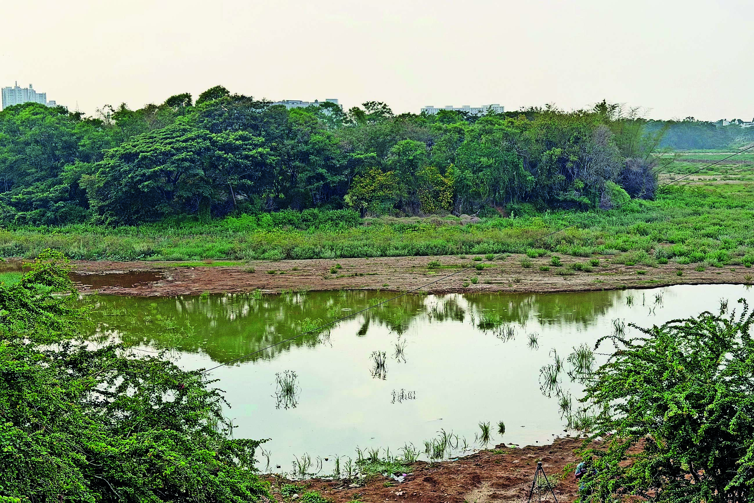 Bengaluru Lakes Threatened by Pollution and Infrastructure Projects