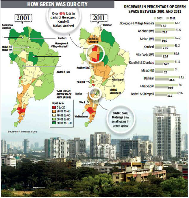 Mumbai lost 23 of green cover in millennium’s first decade Mumbai