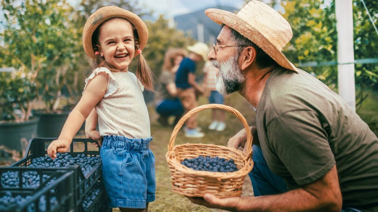<strong>Why more US farmers are embracing Airbnb and agritourism</strong>