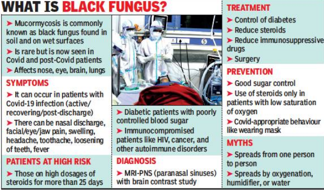 Mucormycosis Black Fungus Not Contagious Depends On Multiple Factors Lucknow News Times Of India
