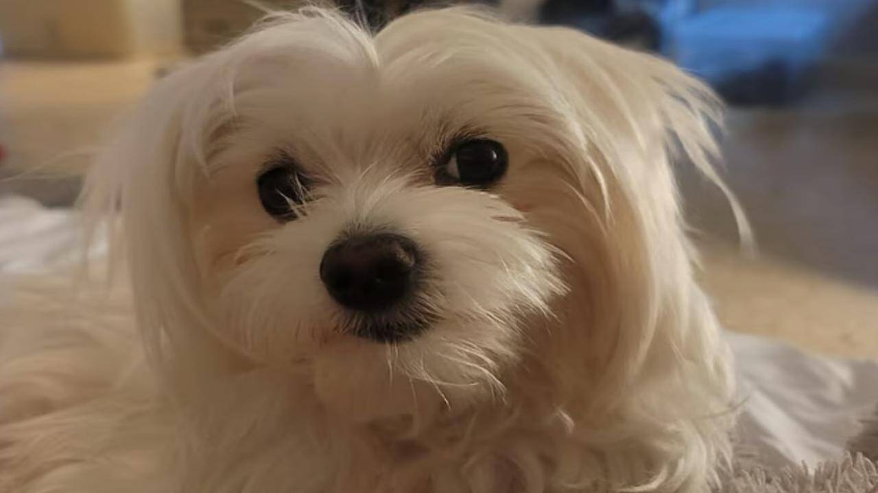 Jiku