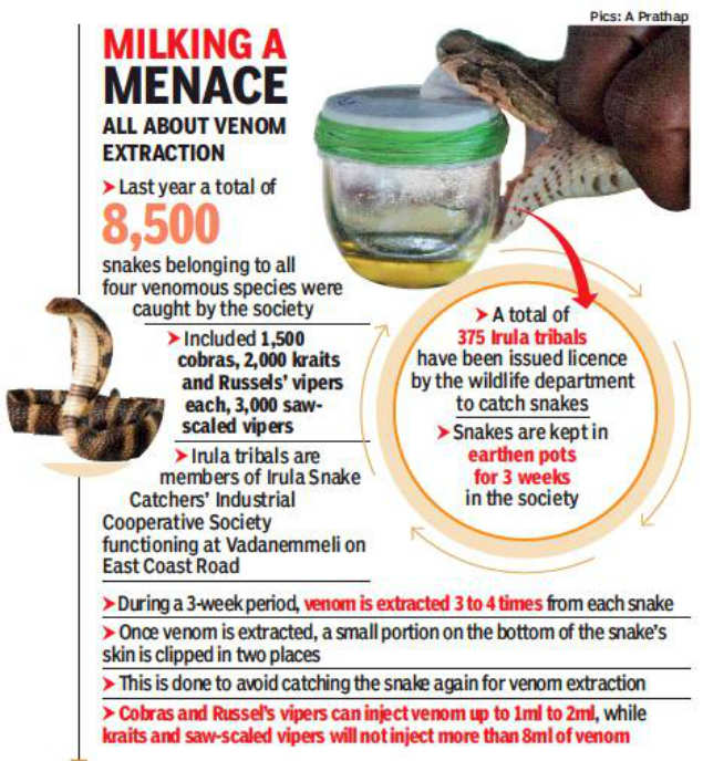 Anti Venom From South India May Not Work Across Country Chennai News Times Of India