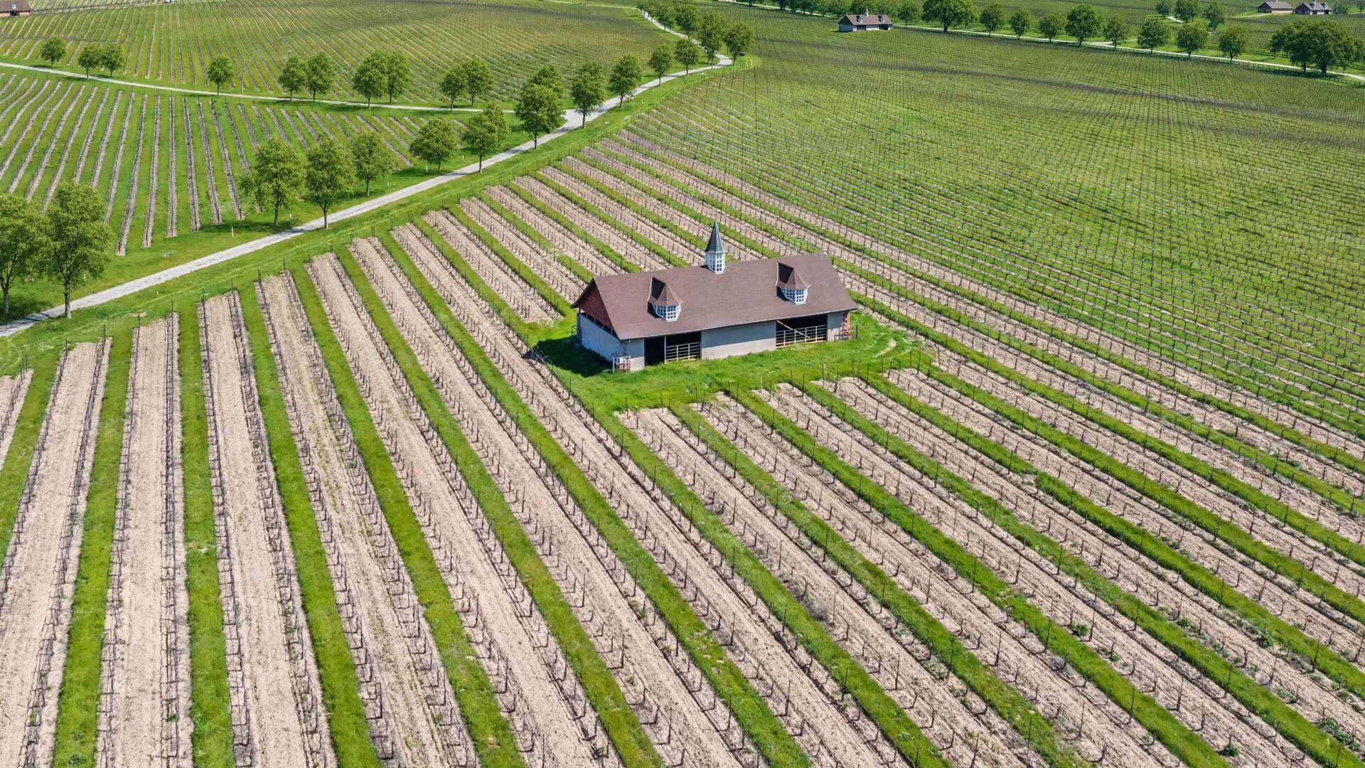 The sprawling estate includes a Kentucky-style 6.5-furlong thoroughbred racetrack.