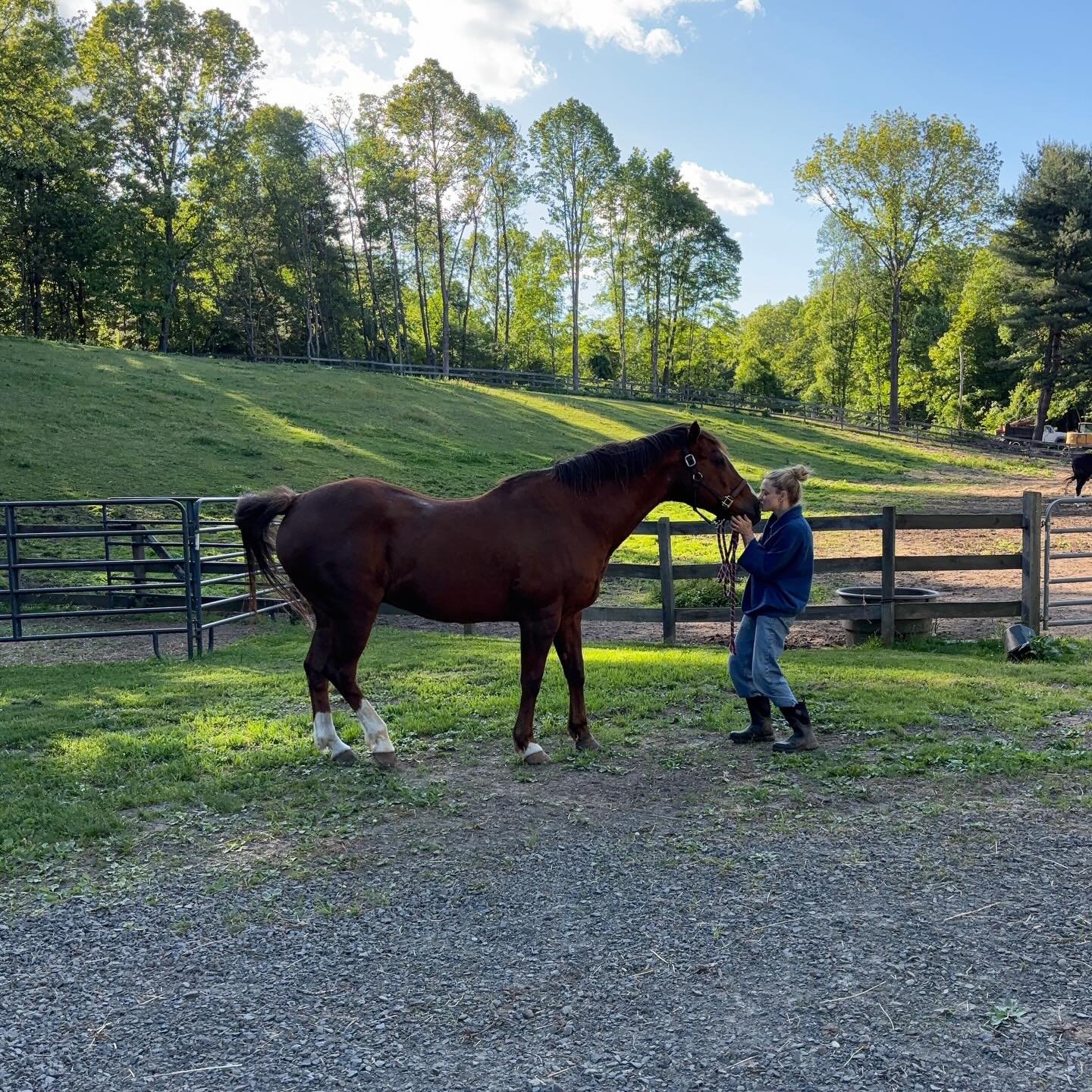 Amanda Seyfried’s upstate New York farm is home to her family and a host of rescued animals.