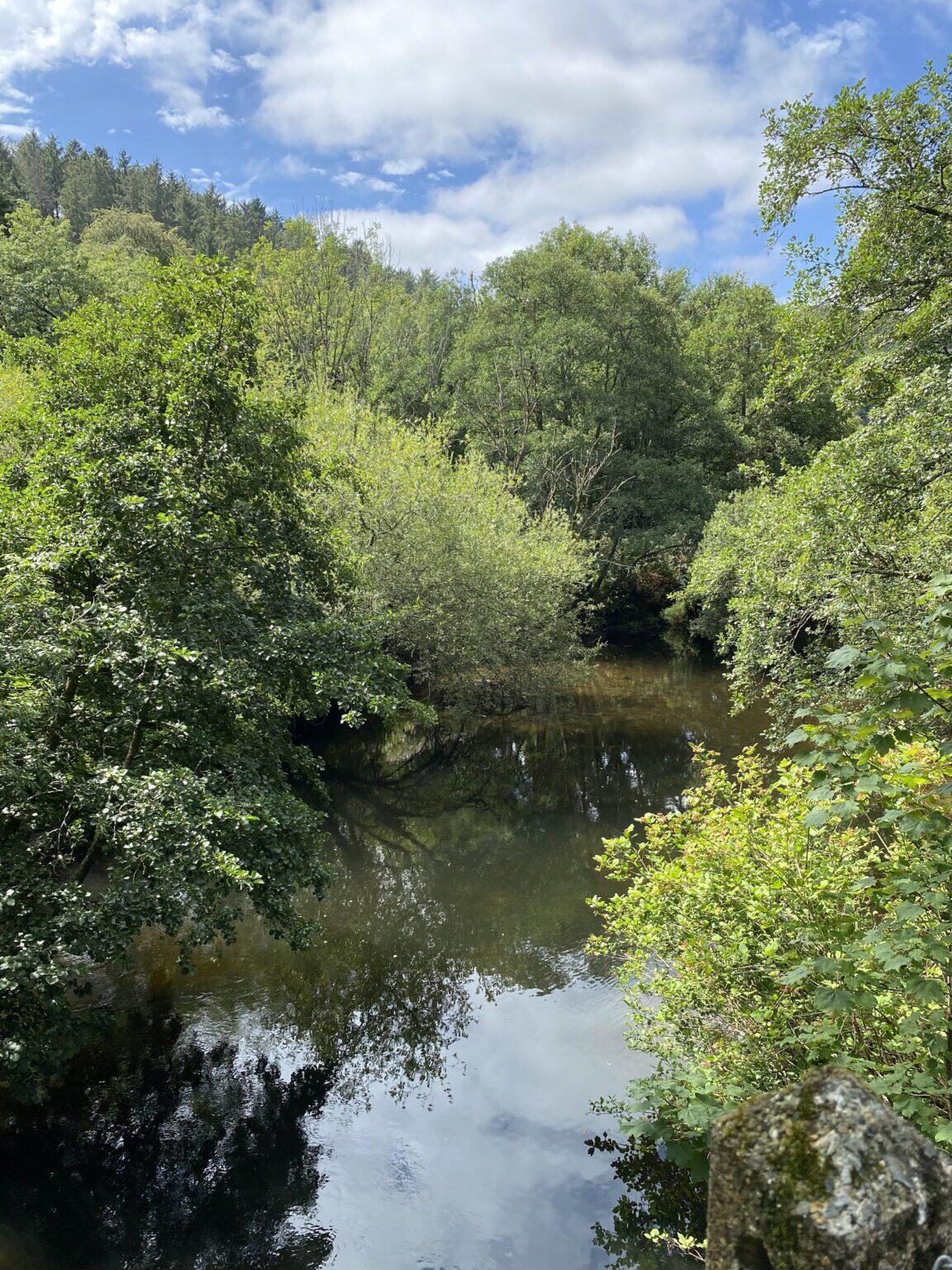Sewage was discharged into Cornwall’s River Camel more than 336 times, according to the court hearing.