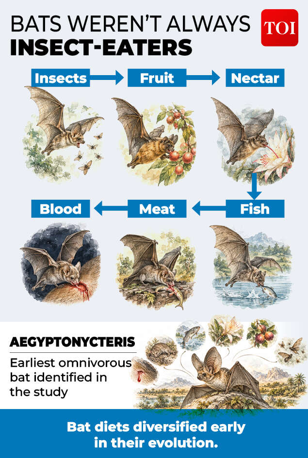 From bugs to blood<br>