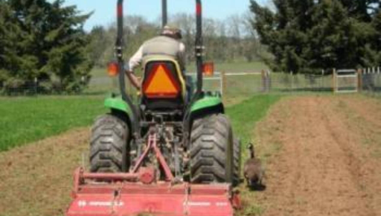 The experience of the Oregon farmer proves that irrigation is not always necessary for productive agriculture