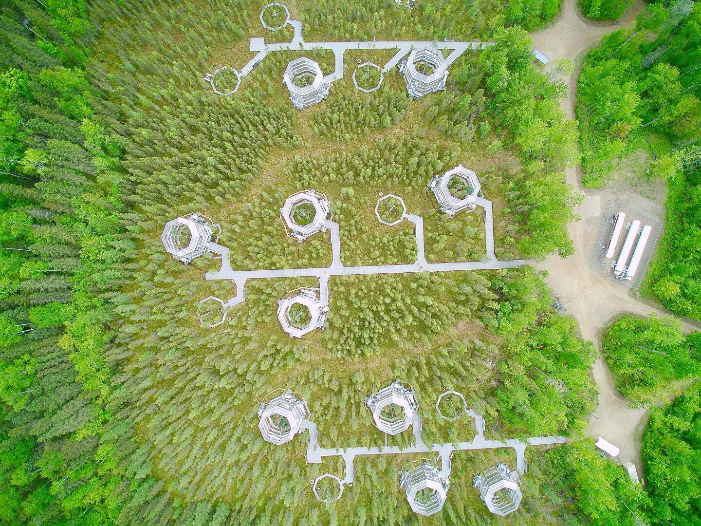 Scientists used SPRUCE experimental enclosures to record net carbon loss from warmed plots in the peatlands of Minnesota.