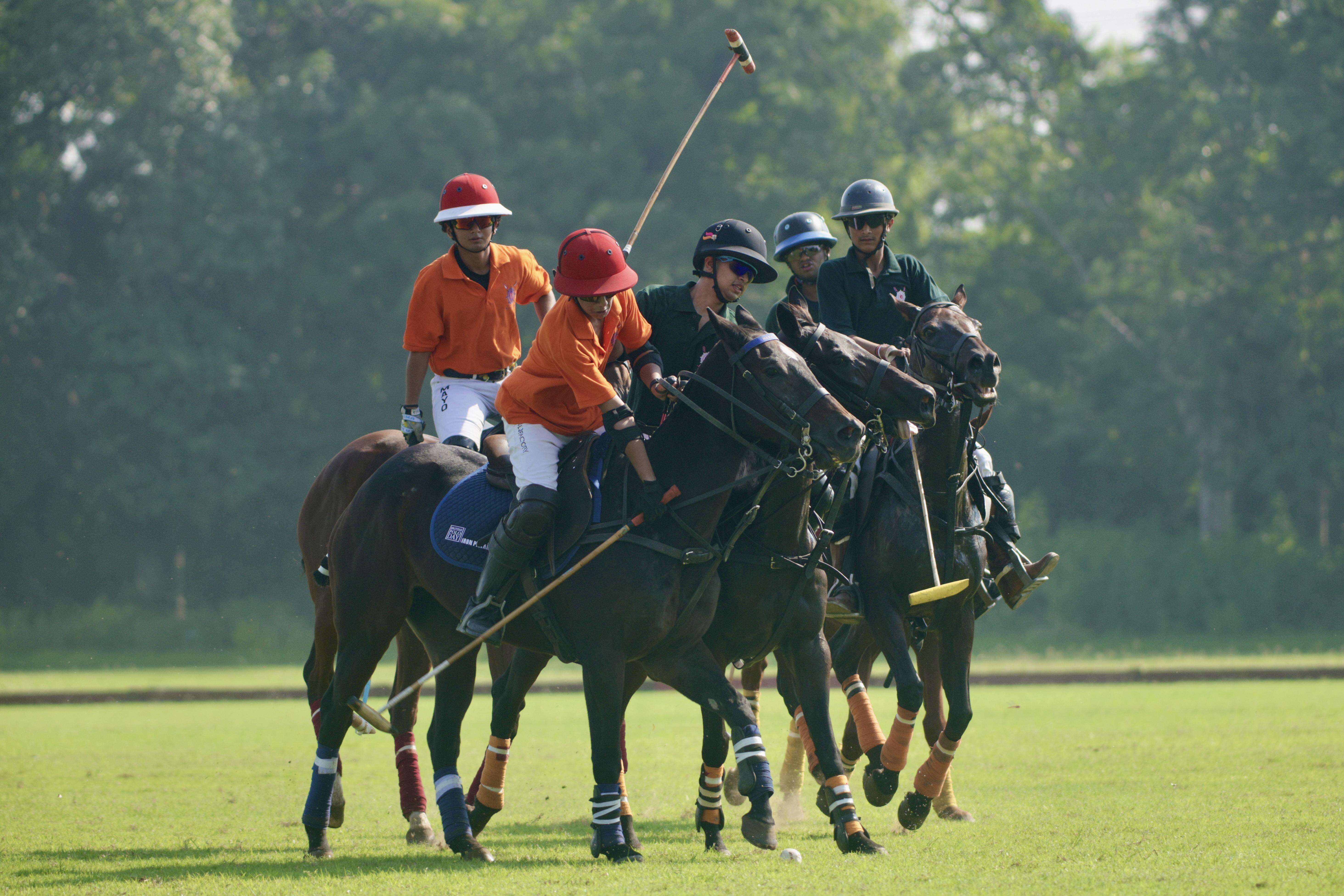 polo-3.JPG