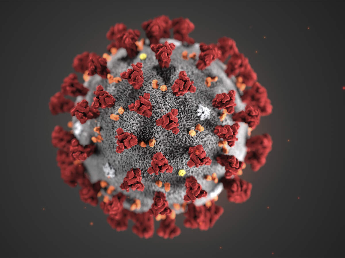 covid-19: How the novel coronavirus has evolved and adapted to human hosts - Vimarsana News
