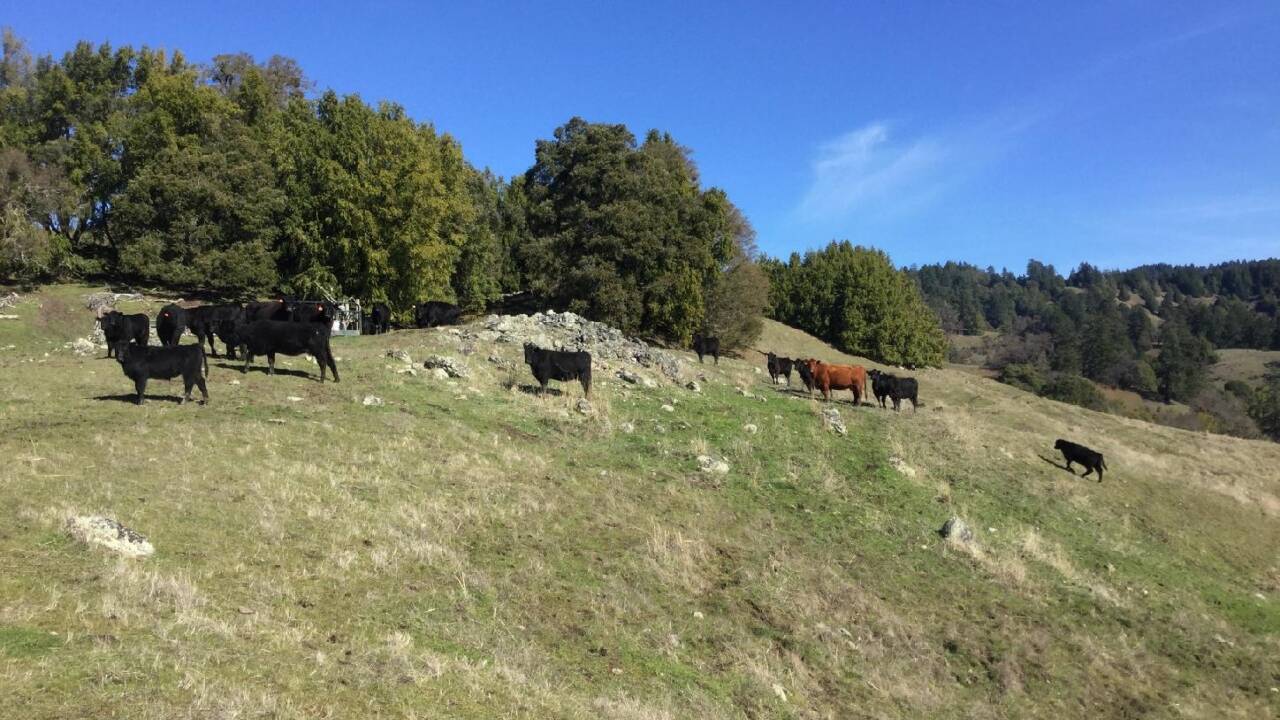 <strong>Brother’s final wish helps permanently protect his family’s 6,625-acre California ranch</strong>