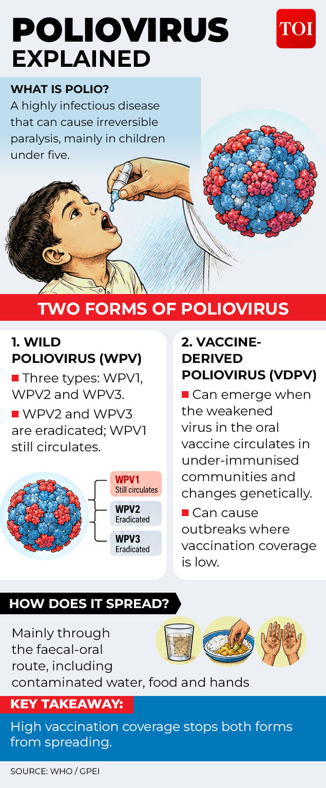 Key details about the poliovirus