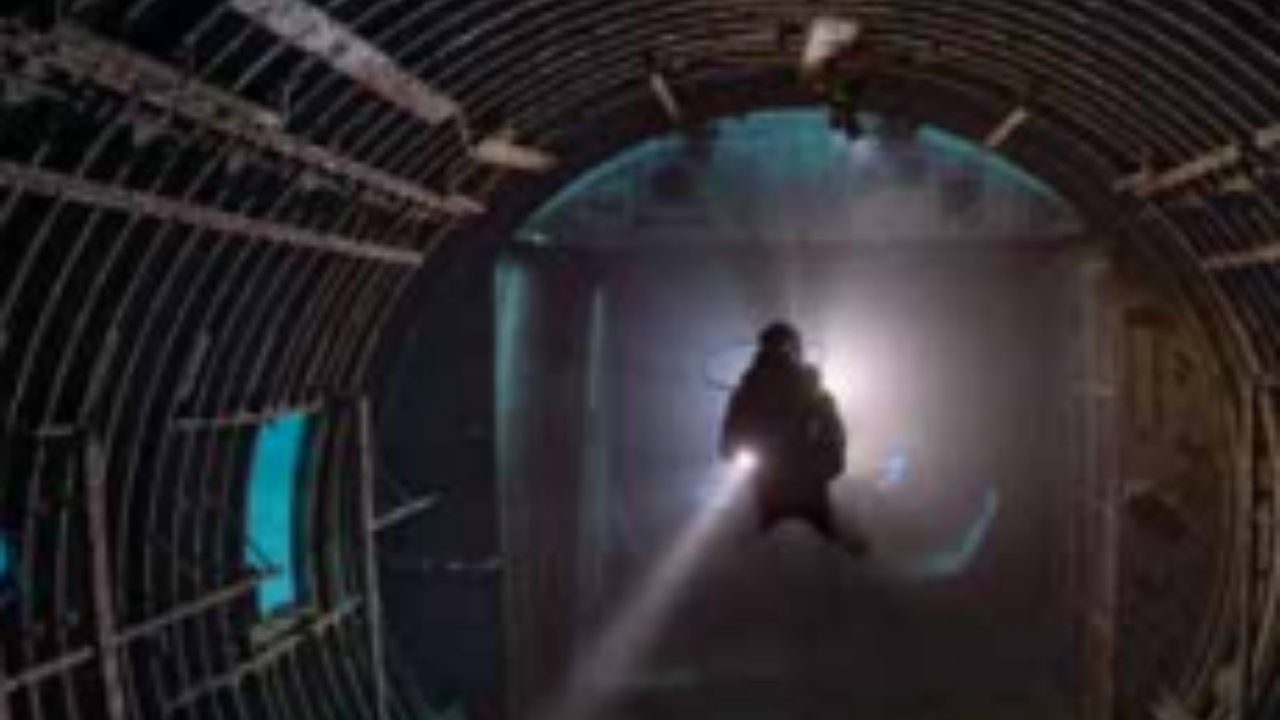 Fsh began using the wreck and surrounding spaces as shelter<br>