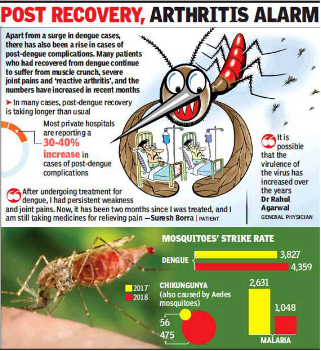 Hyderabad: Dengue mosquitoes don’t lose sting even after dark ...