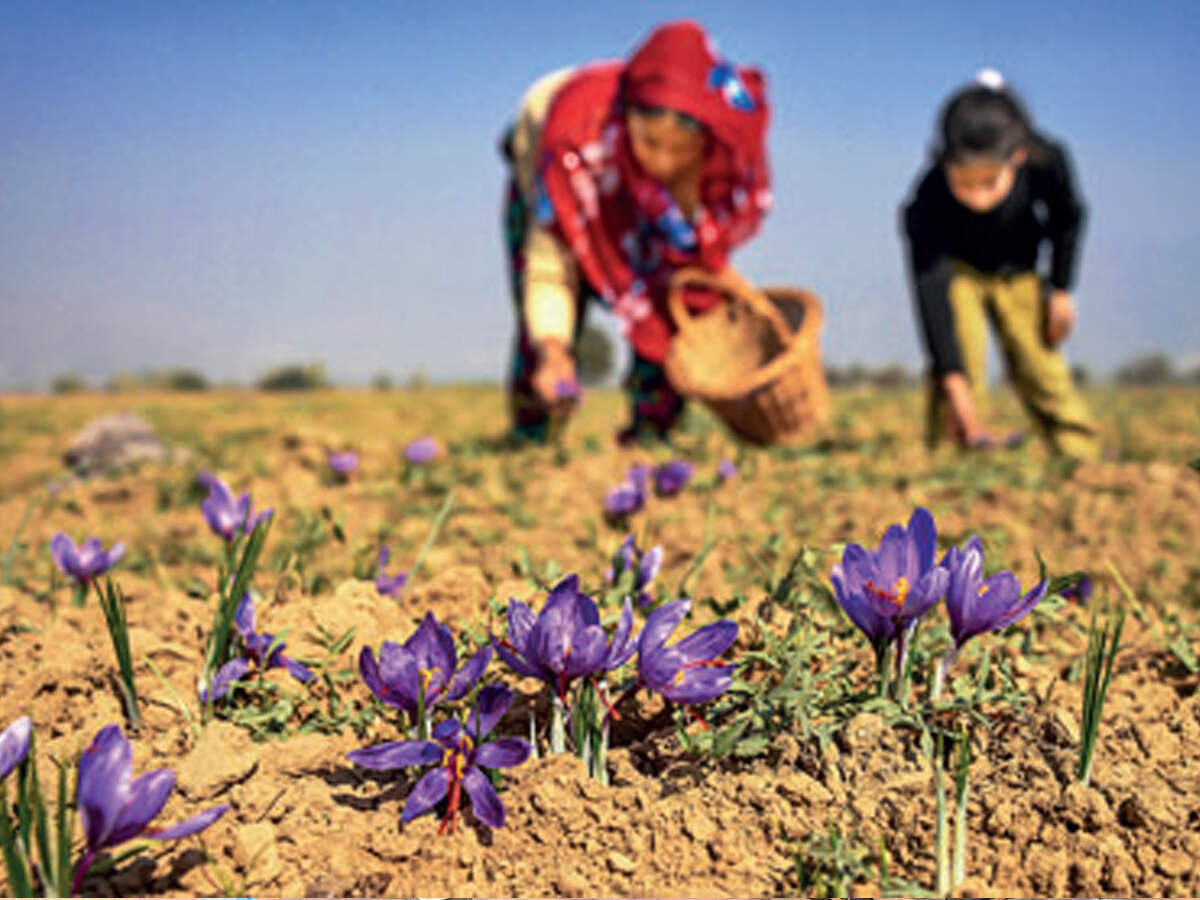 Now, all Indian citizens can buy land in J&K