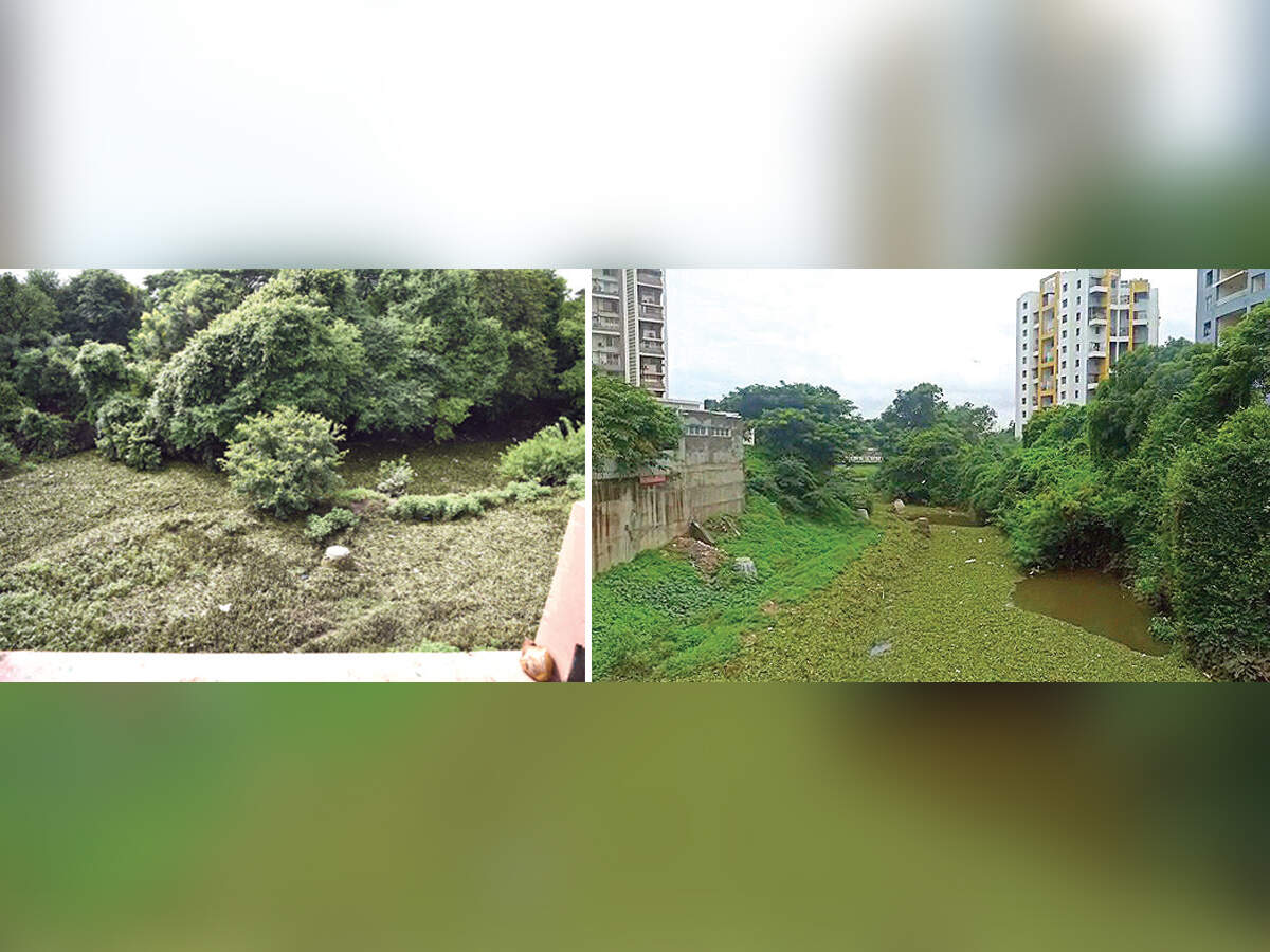 Ramnadi - Baner and Pashan: Ramnadi in reverse gear - Vimarsana News