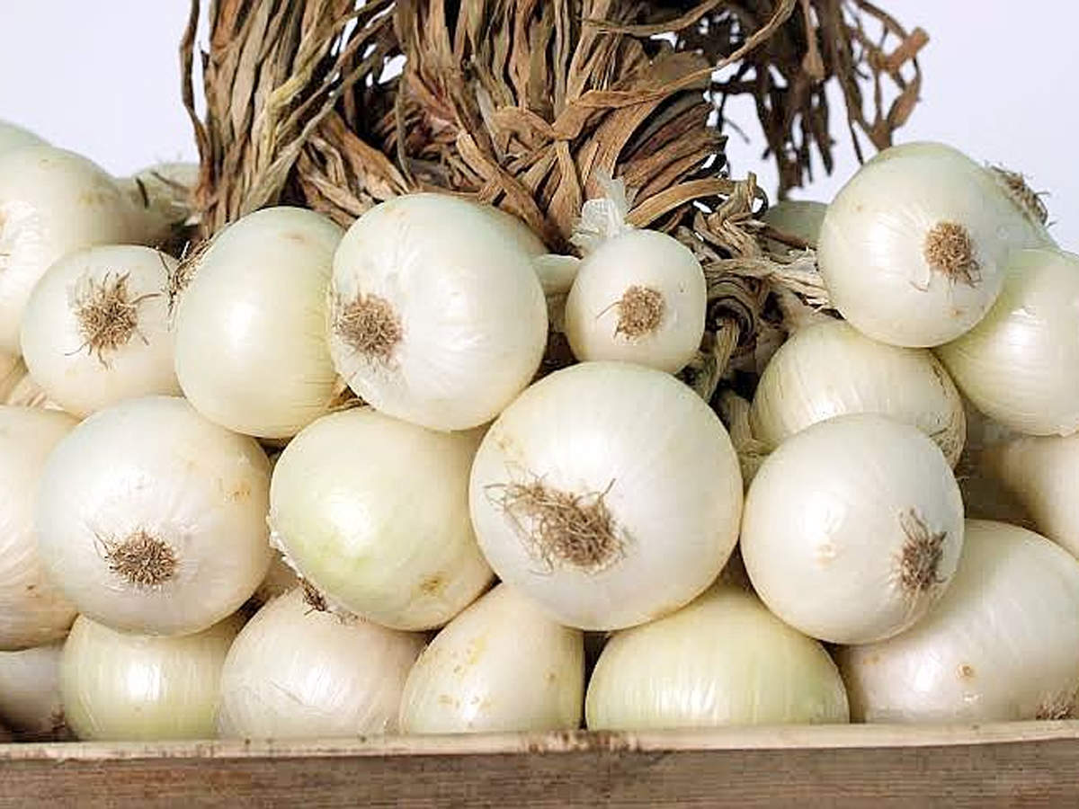 State eyes GI tag for Alibaug's white onion