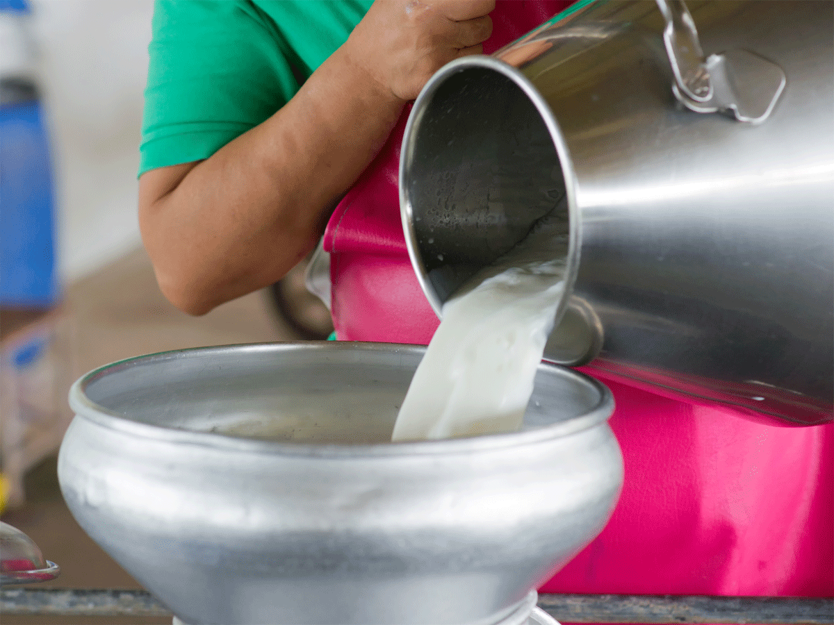 Milk Prices To Go Up In Karnataka