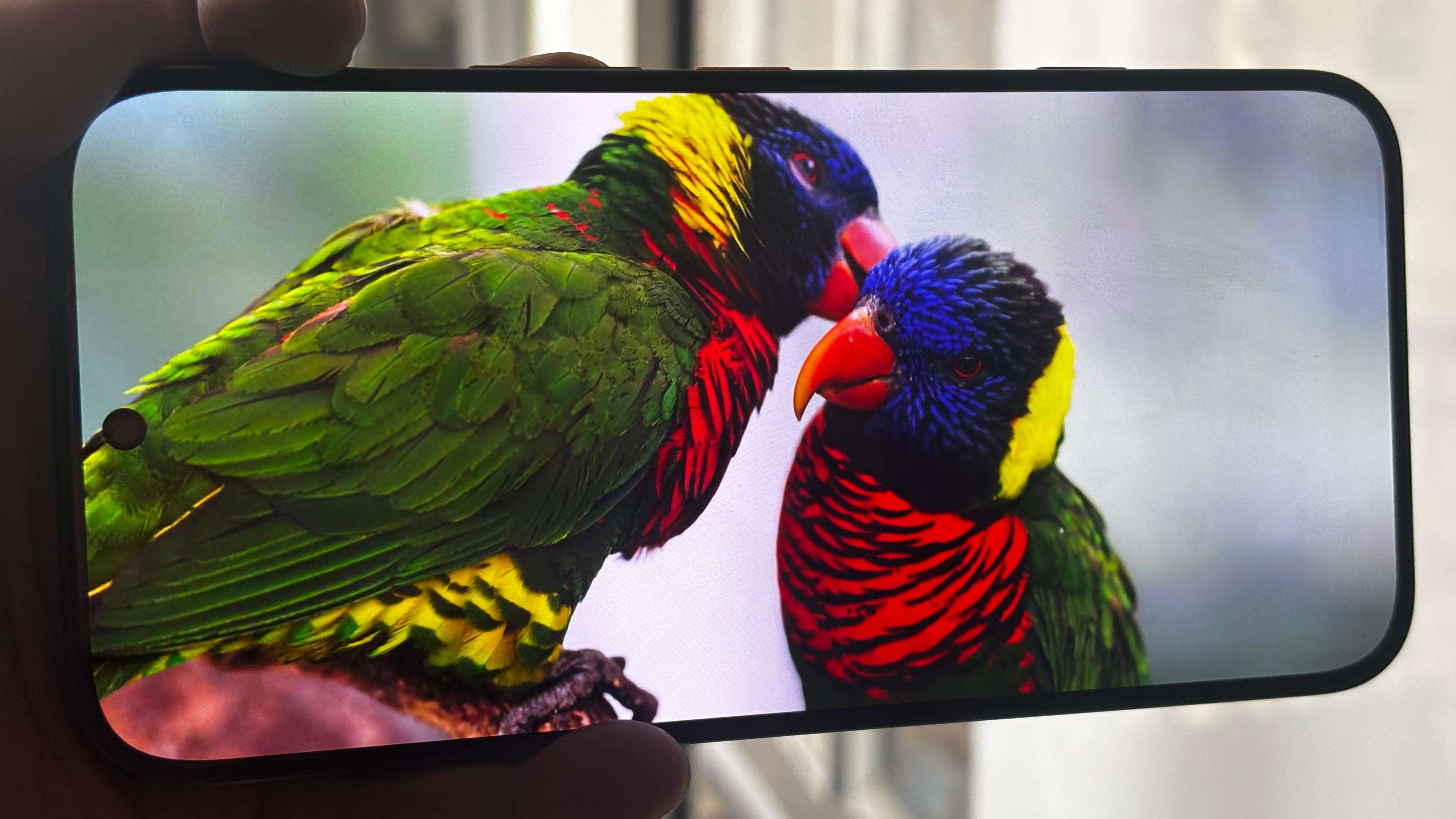 Vibrant AMOLED display