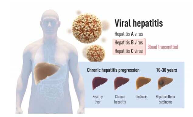 most common mode of hepatitis a transmission